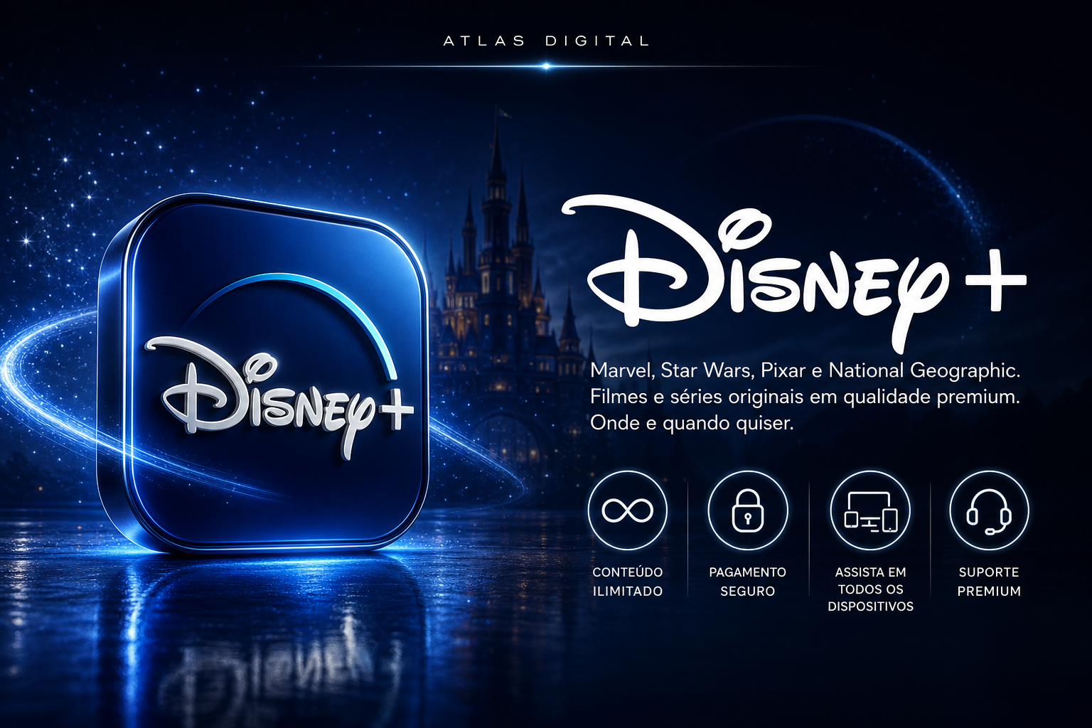 Disney Tela - PRIVADA